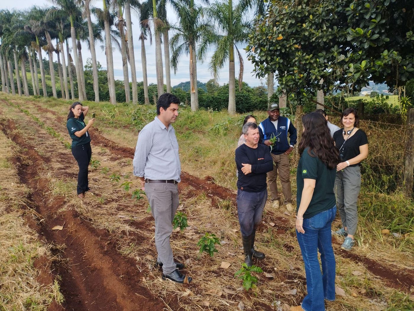 Visita técnica a cooperativa de café com delegação internacional